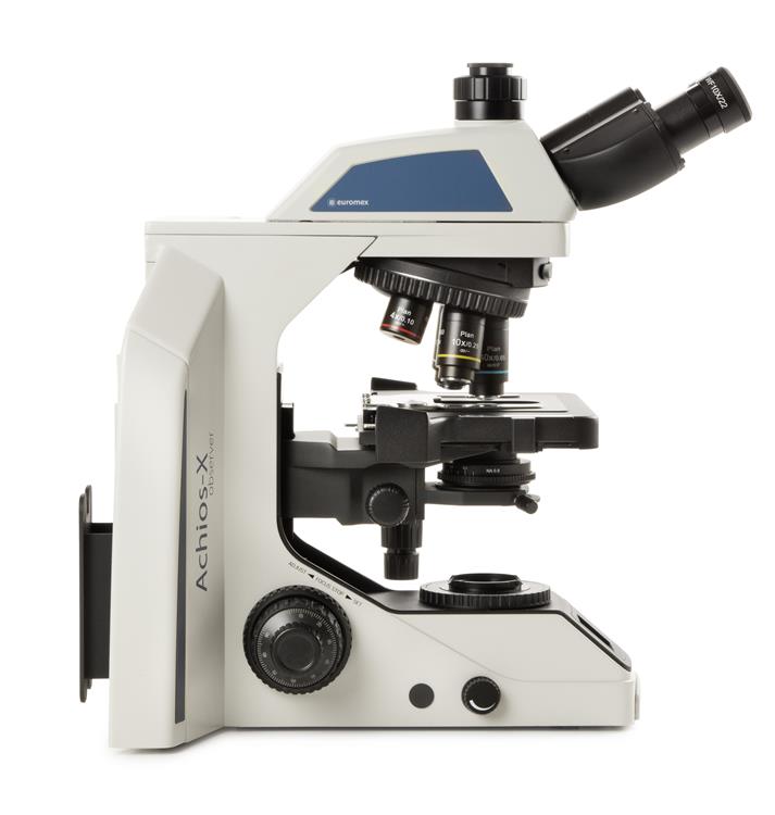 inverted microscopes