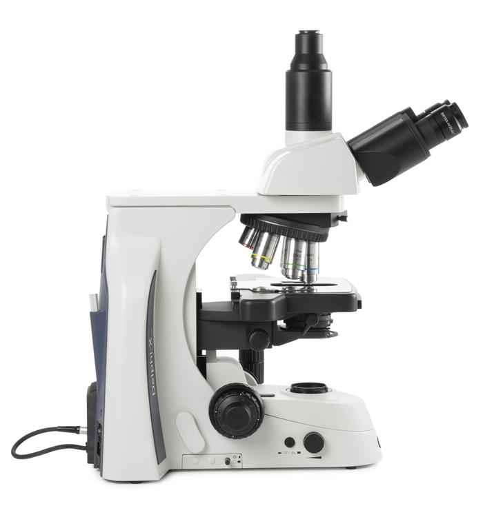 Upright microscopes