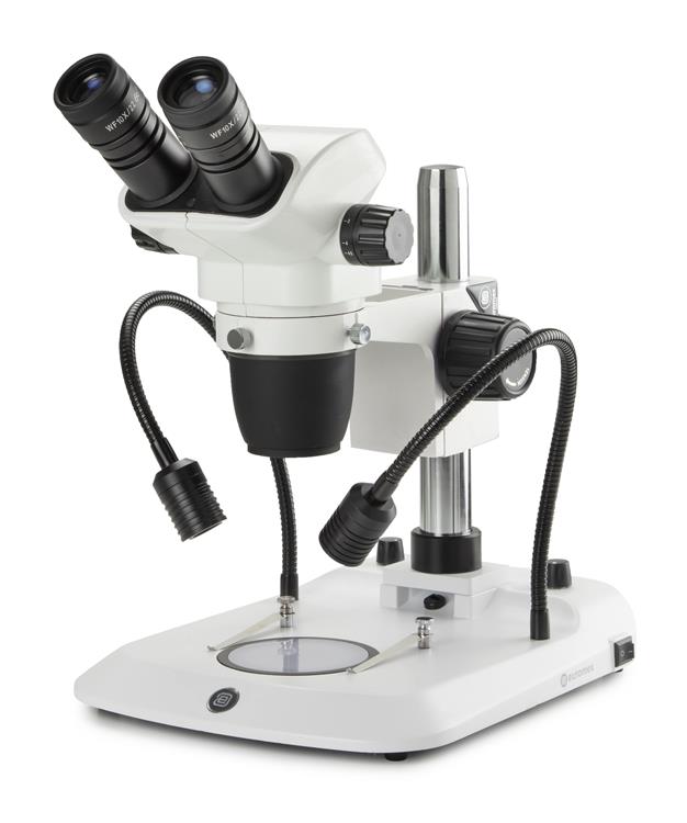 stereo/binocular microscopes